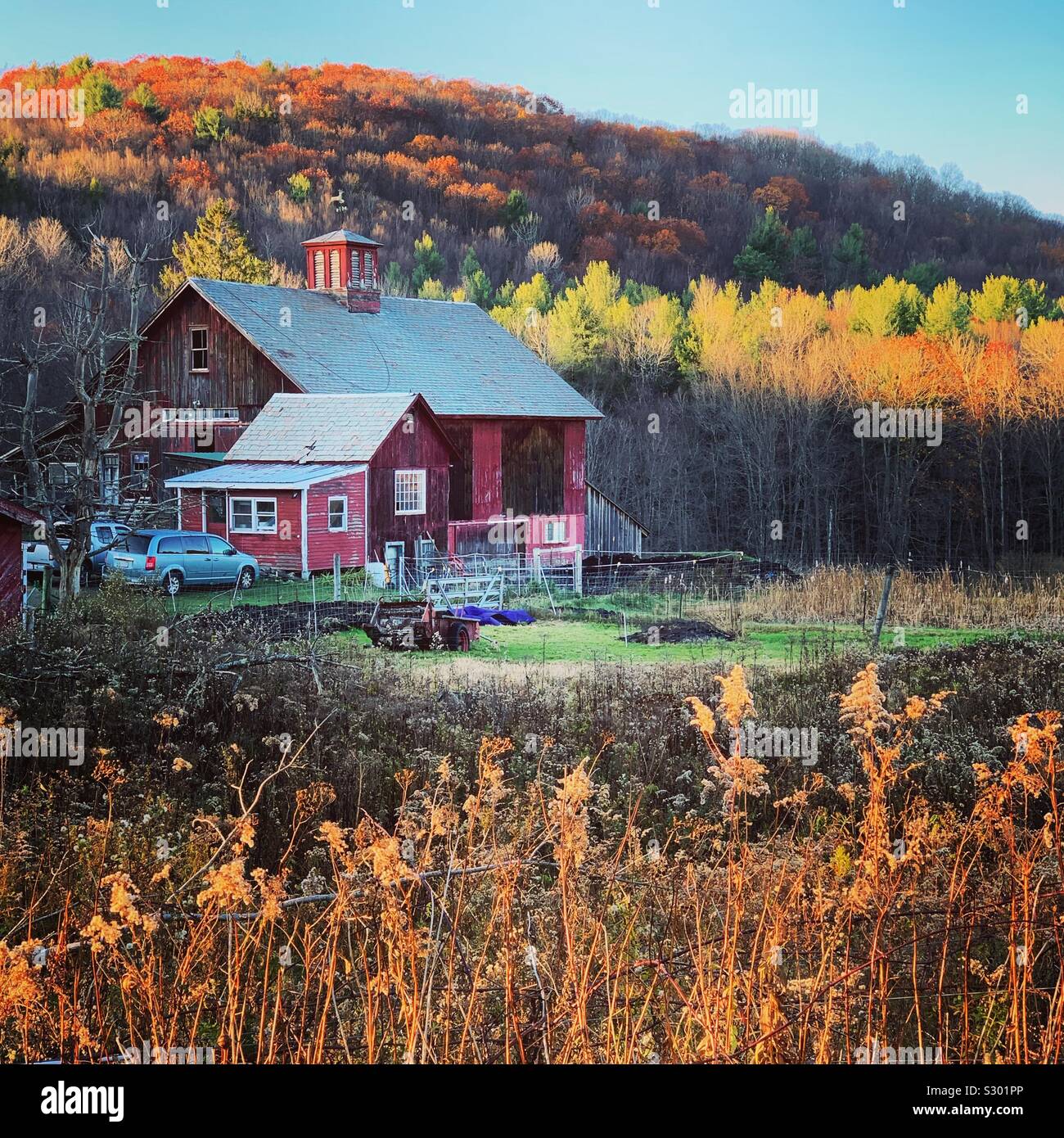 Autumn view of a farm in Colrain, Massachusetts, United States Stock Photo