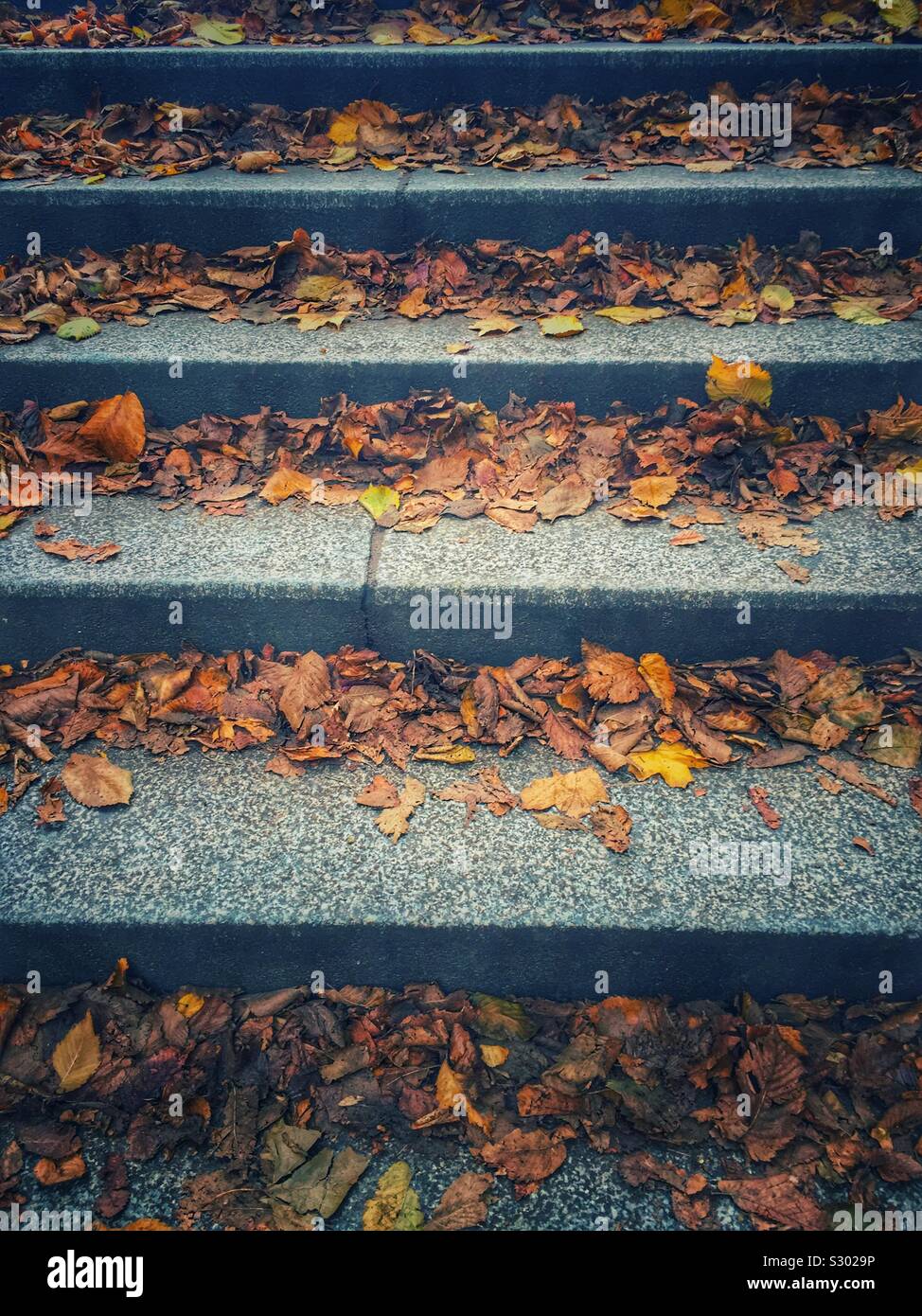 Autumn leaves on the stairs Stock Photo