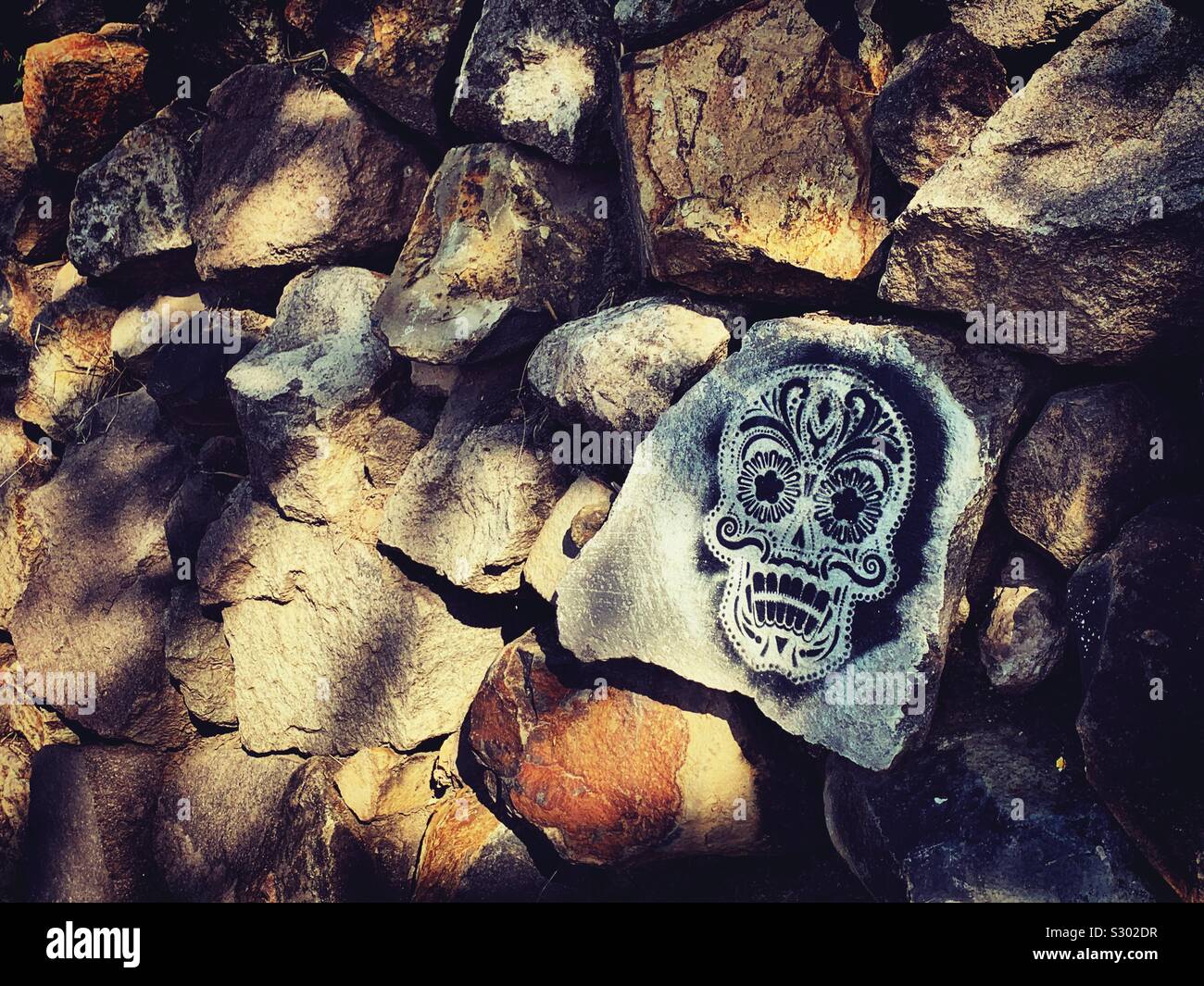 A rock decorated with a painted calavera stands out from the others on a rock wall along the bike path near Ajijic, México. Stock Photo