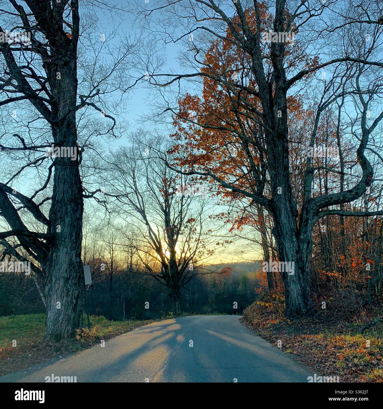 On a country road in November, New England, United States - Smartphone Captured Stock Image