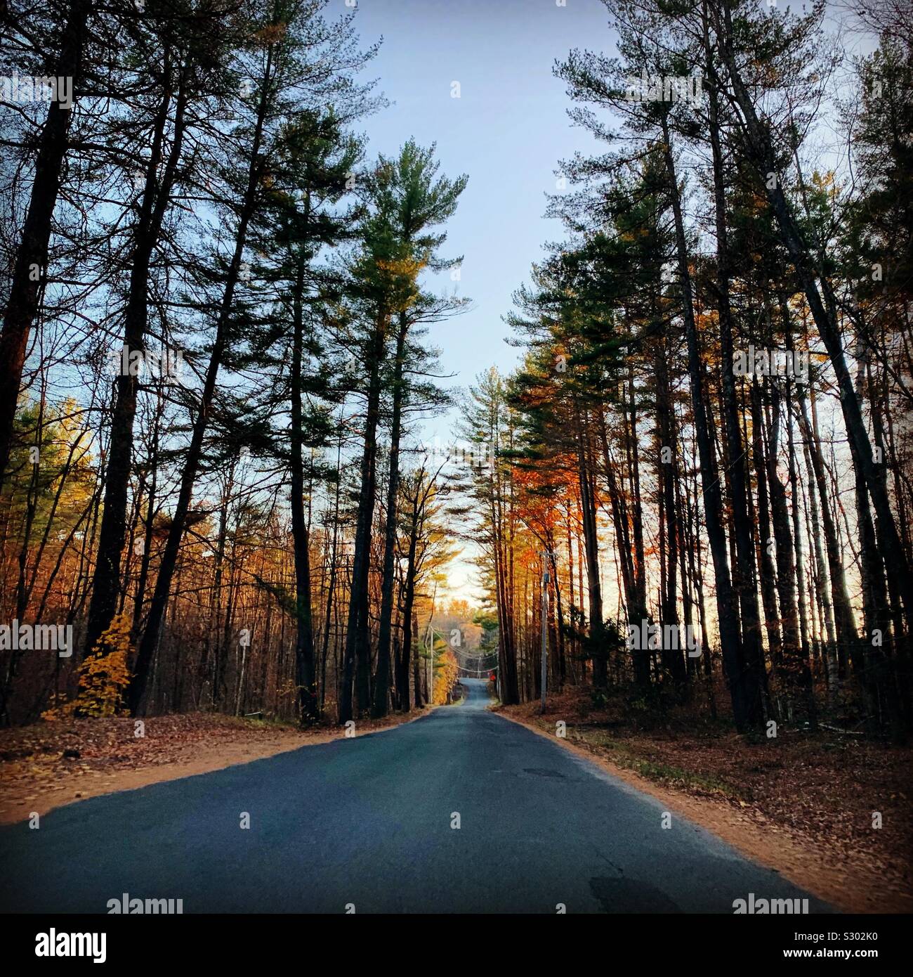 On a country road in November, New England, United States - Smartphone Captured Stock Image