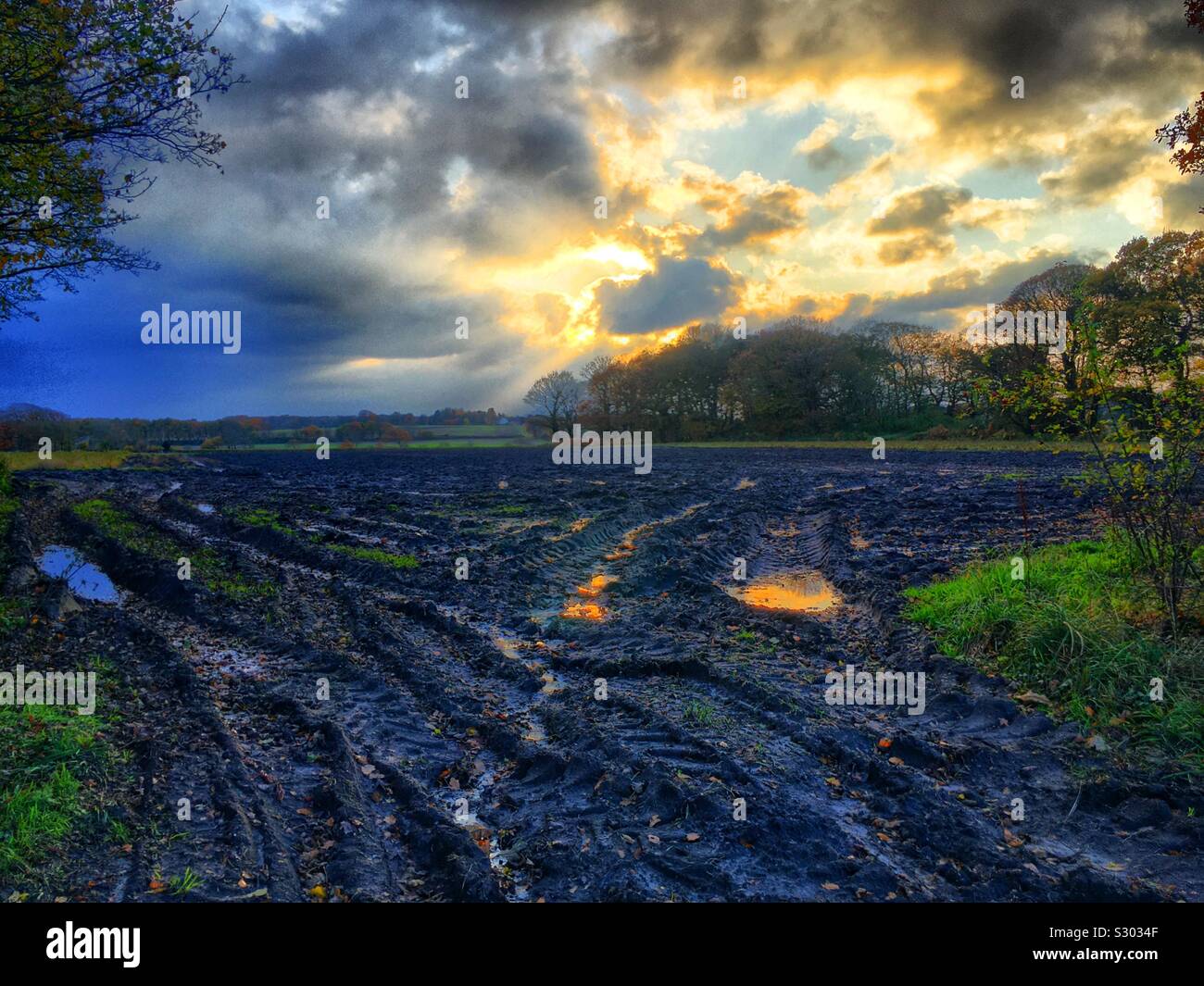 Countryside Golden Sunset - Smartphone Captured Stock Image