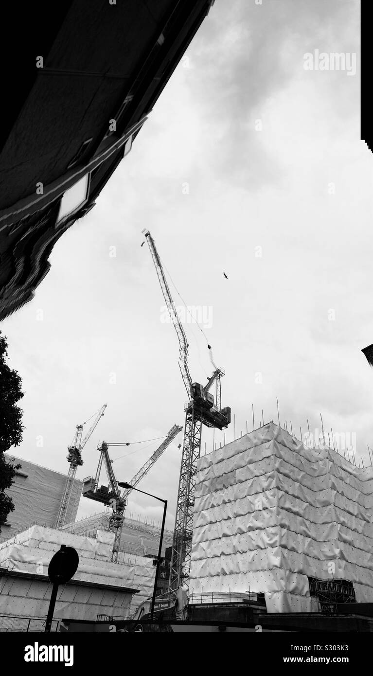 Crane london Black and White Stock Photos & Images - Alamy