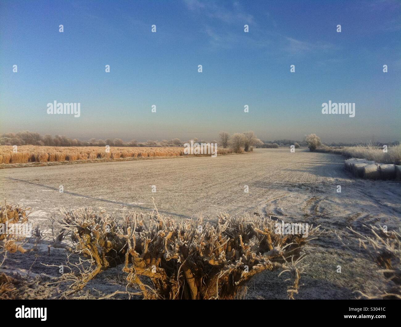 Flat frosty landscape in winter, Yorkshire, England, United Kingdom Stock Photo