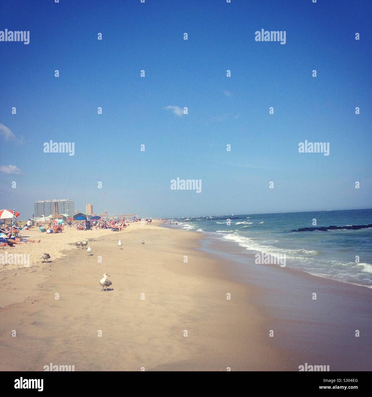 Ocean and sandy beach during summer, with seagulls. - Smartphone Captured Stock Image Ocean and sandy beach during summer, with seagulls. - Smartphone Captured Stock Image