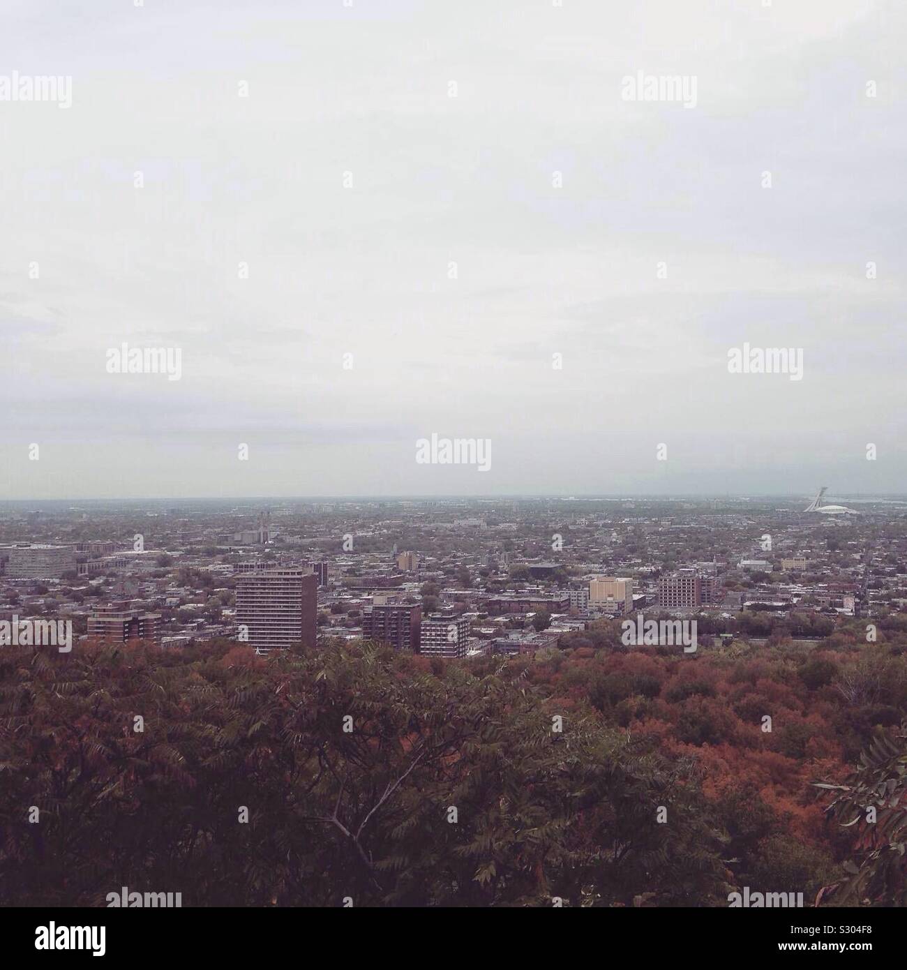 Montreal, Canada, view from Mount Royale. - Smartphone Captured Stock Image