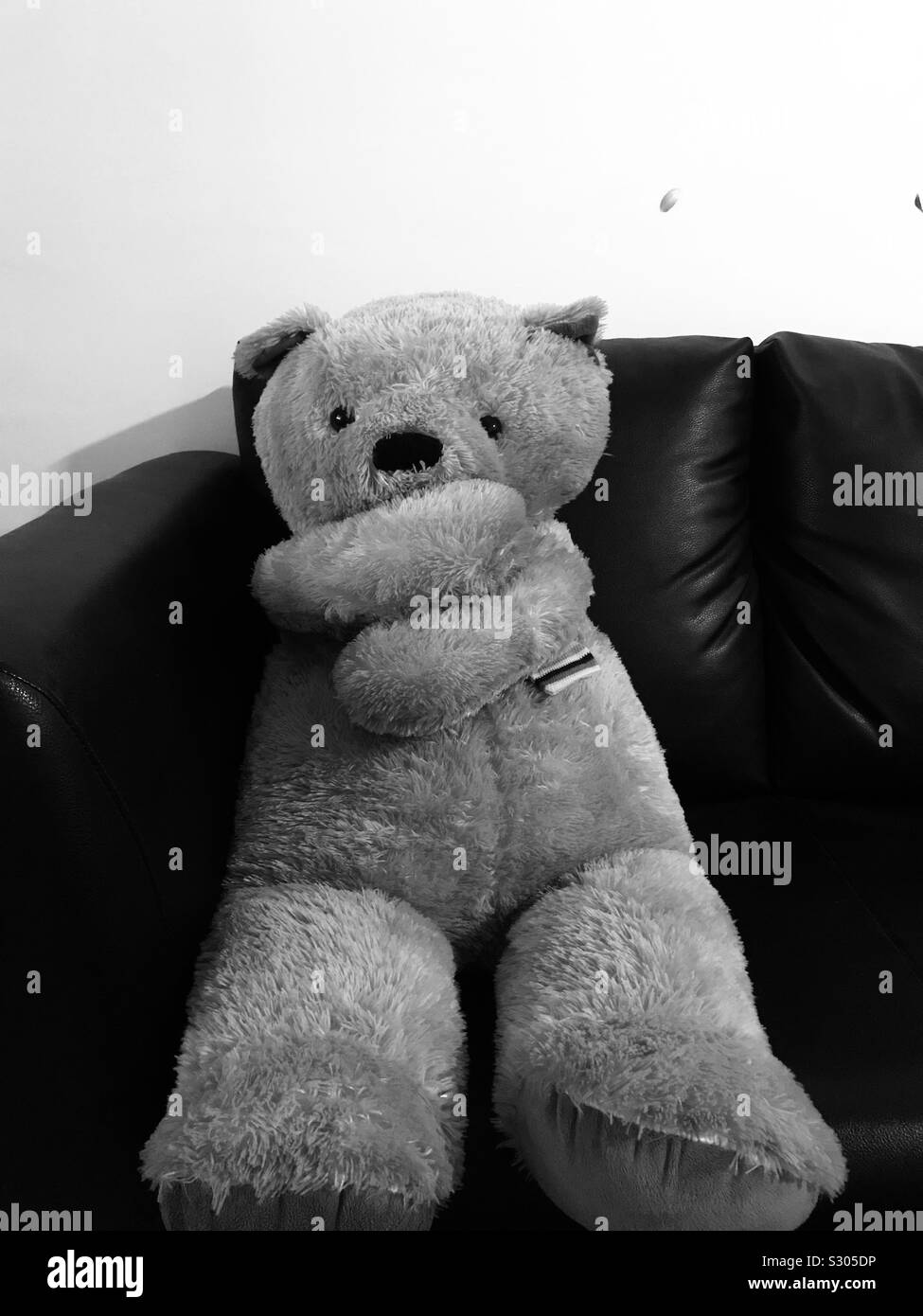 Giant Teddy bear laying on a sofa ,black and white picture-In a minimalist setting Stock Photo