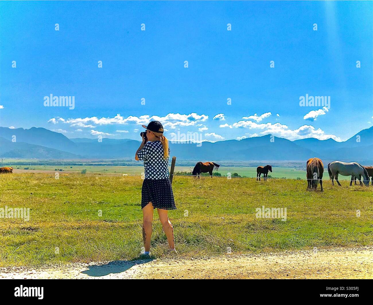 Blond girl in a skirt and T-shirt taking photos of horses in the Romanian mountains.Travel photographer in Brasov all year round resort,120 km from the capital city of Bucharest. - Smartphone Captured Stock Image