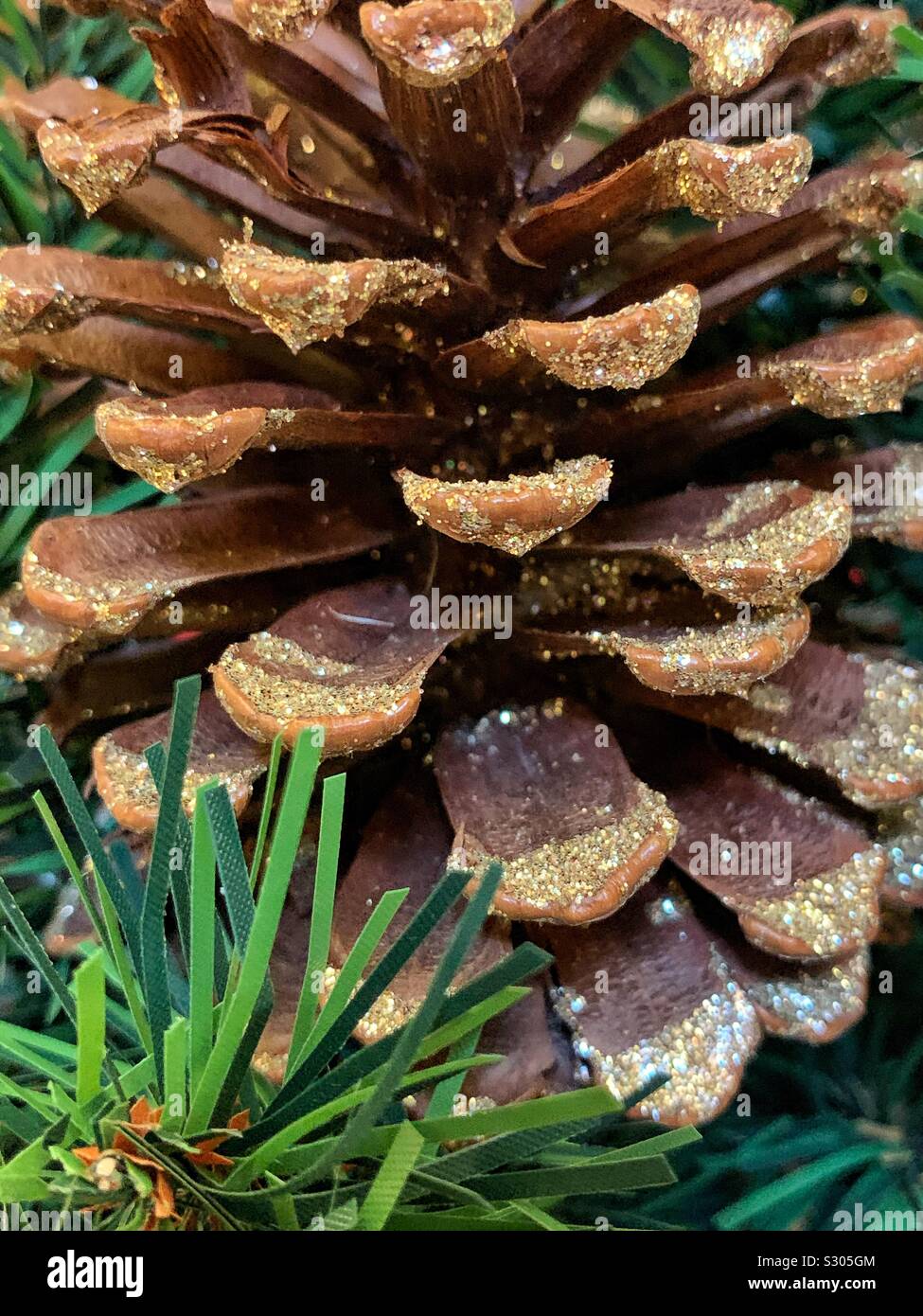 Closeup of a pine cone with gold glitter sprinkles. - Smartphone Captured Stock Image