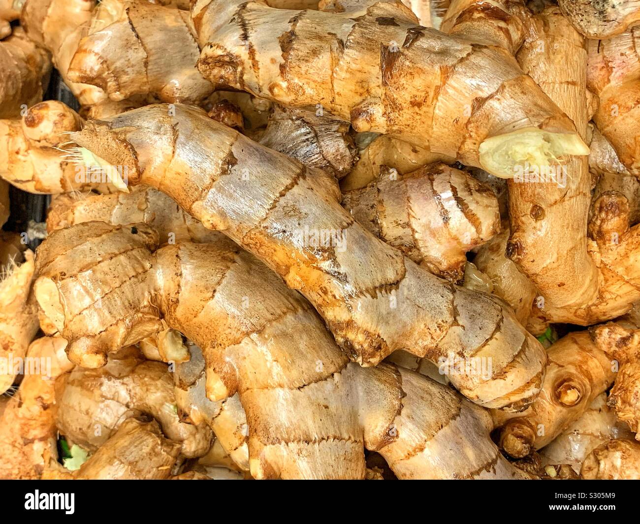 Fresh and tangy ginger root - Smartphone Captured Stock Image