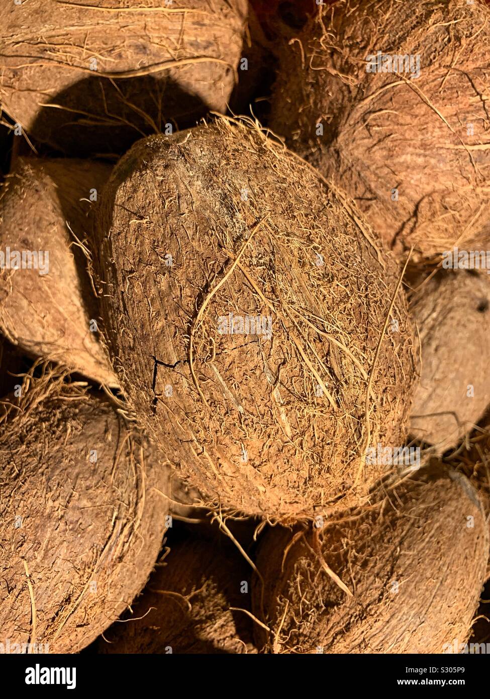 Fresh tasty coconuts - Smartphone Captured Stock Image