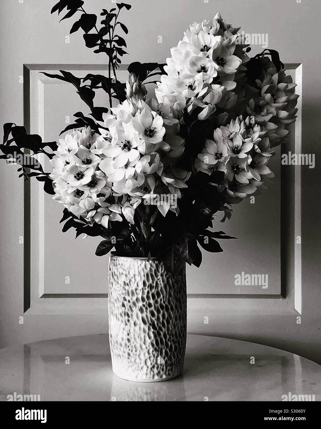 Star of Bethlehem - Smartphone Captured Stock Image