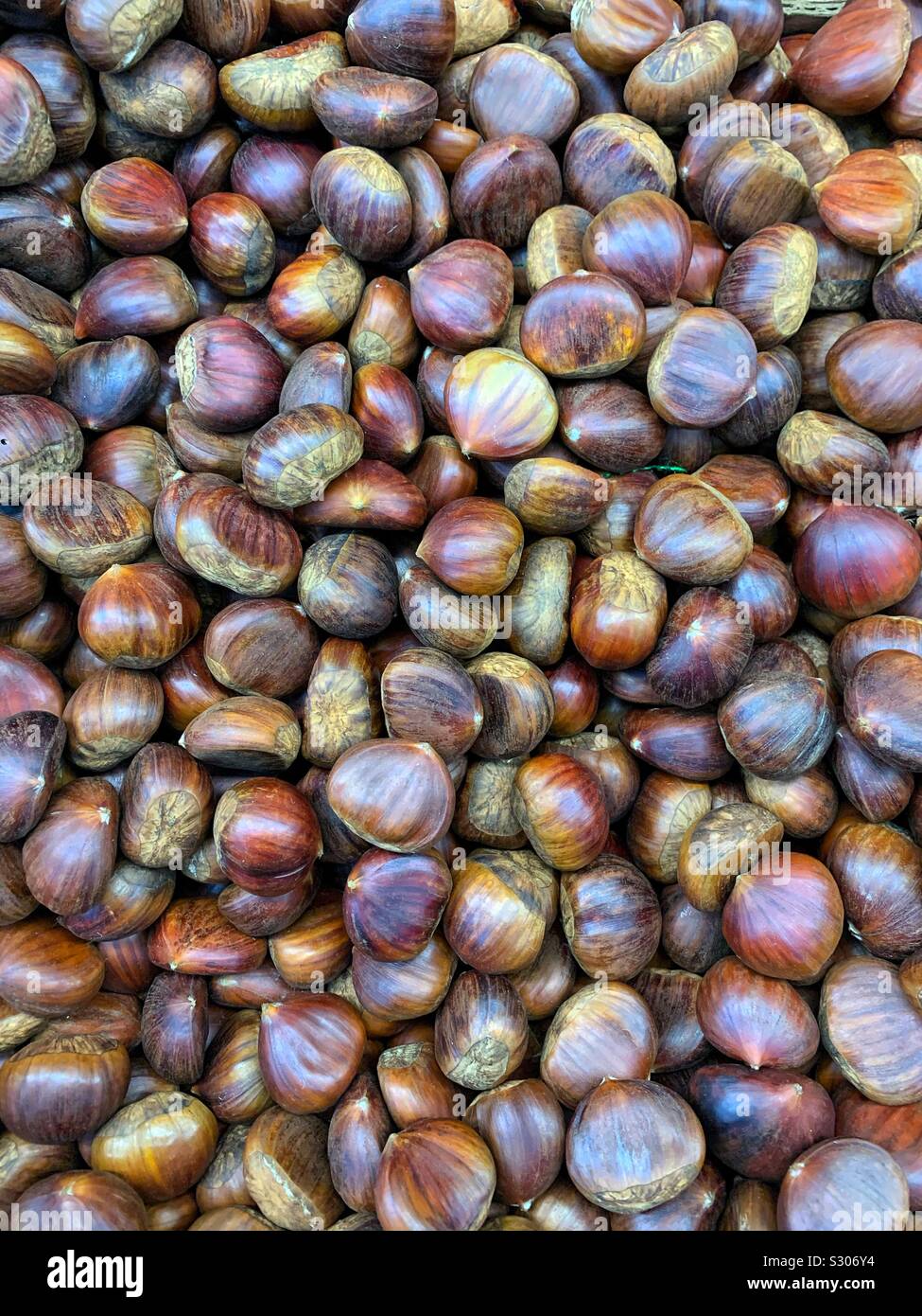 Delicious fresh ripe raw chestnuts, Castanea, Stock Photo