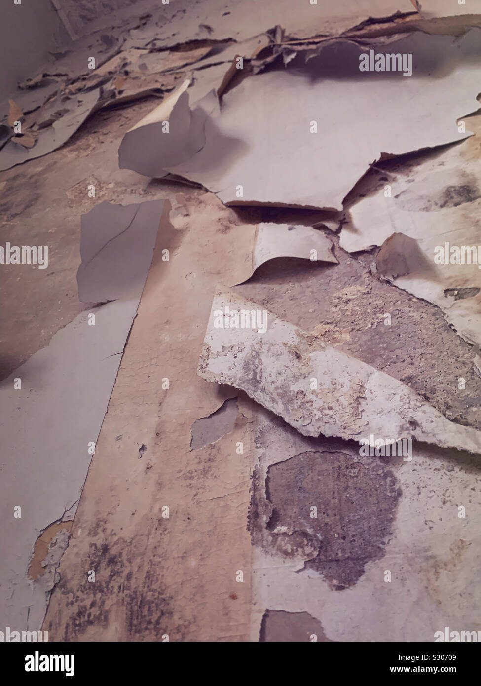 Wallpaper paint and plaster peeling from a wall.  DIY and decorating - Smartphone Captured Stock Image