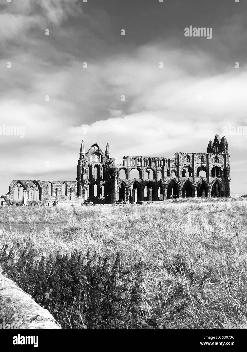 Bram stokers dracula hires stock photography and images Alamy