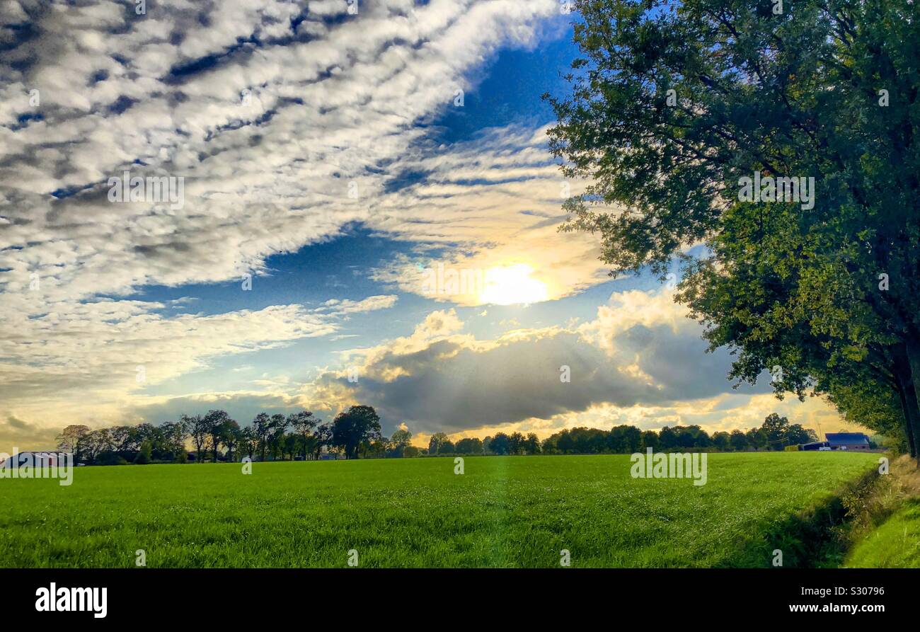 Fluffy white clouds over a farmfield sunrise landscape - Smartphone Captured Stock Image