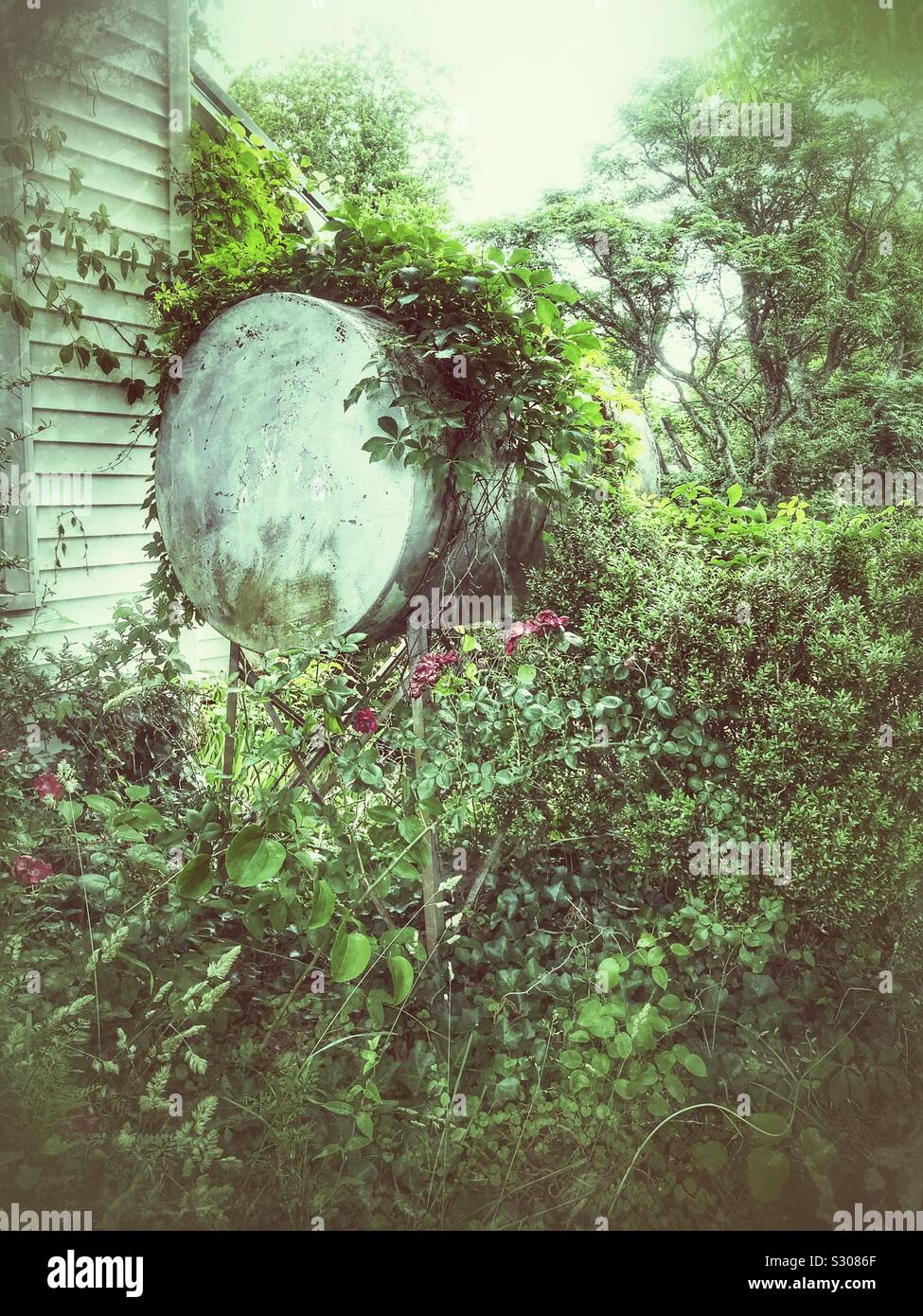 Overgrown kerosene tank beside white farmhouse - Smartphone Captured Stock Image
