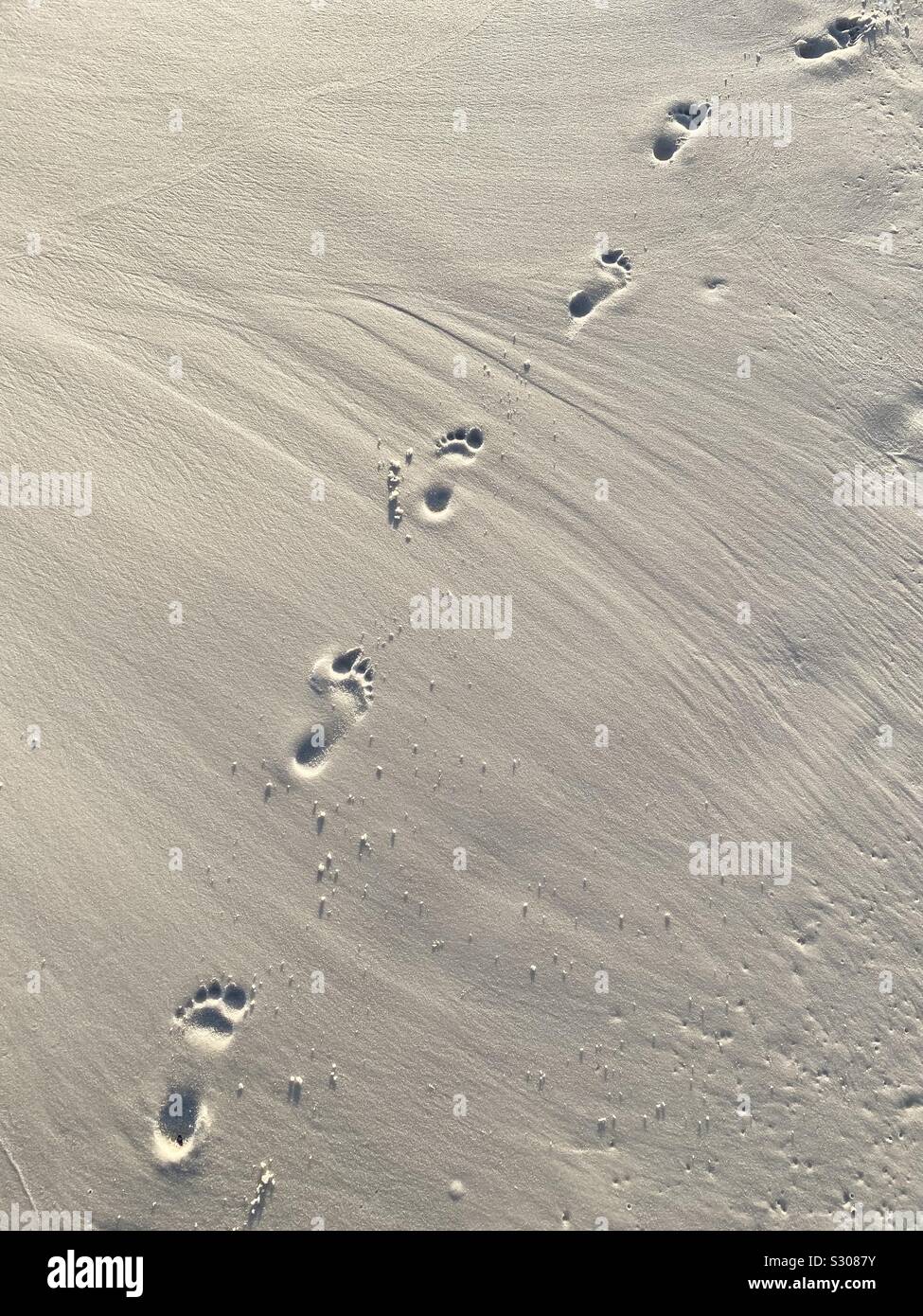 Footprints in the sand on the beach - Smartphone Captured Stock Image