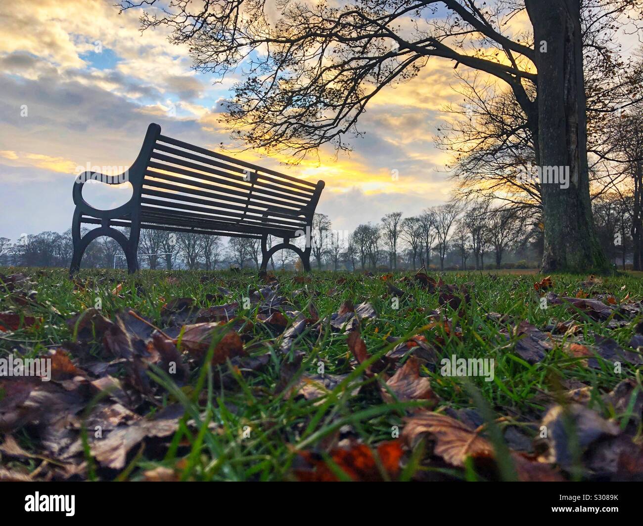 Park bench at sunset - Smartphone Captured Stock Image