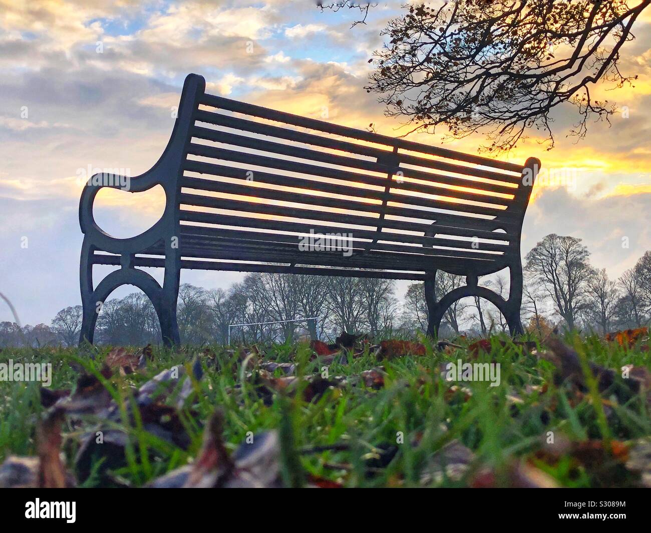 Park bench at sunset - Smartphone Captured Stock Image