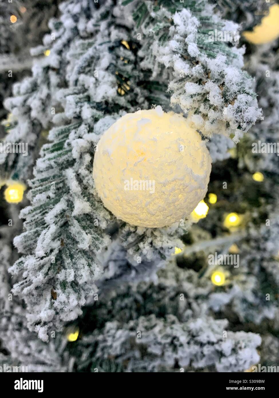 Softly glowing Christmas tree ornament hanging on a snowy pine tree Stock Photo