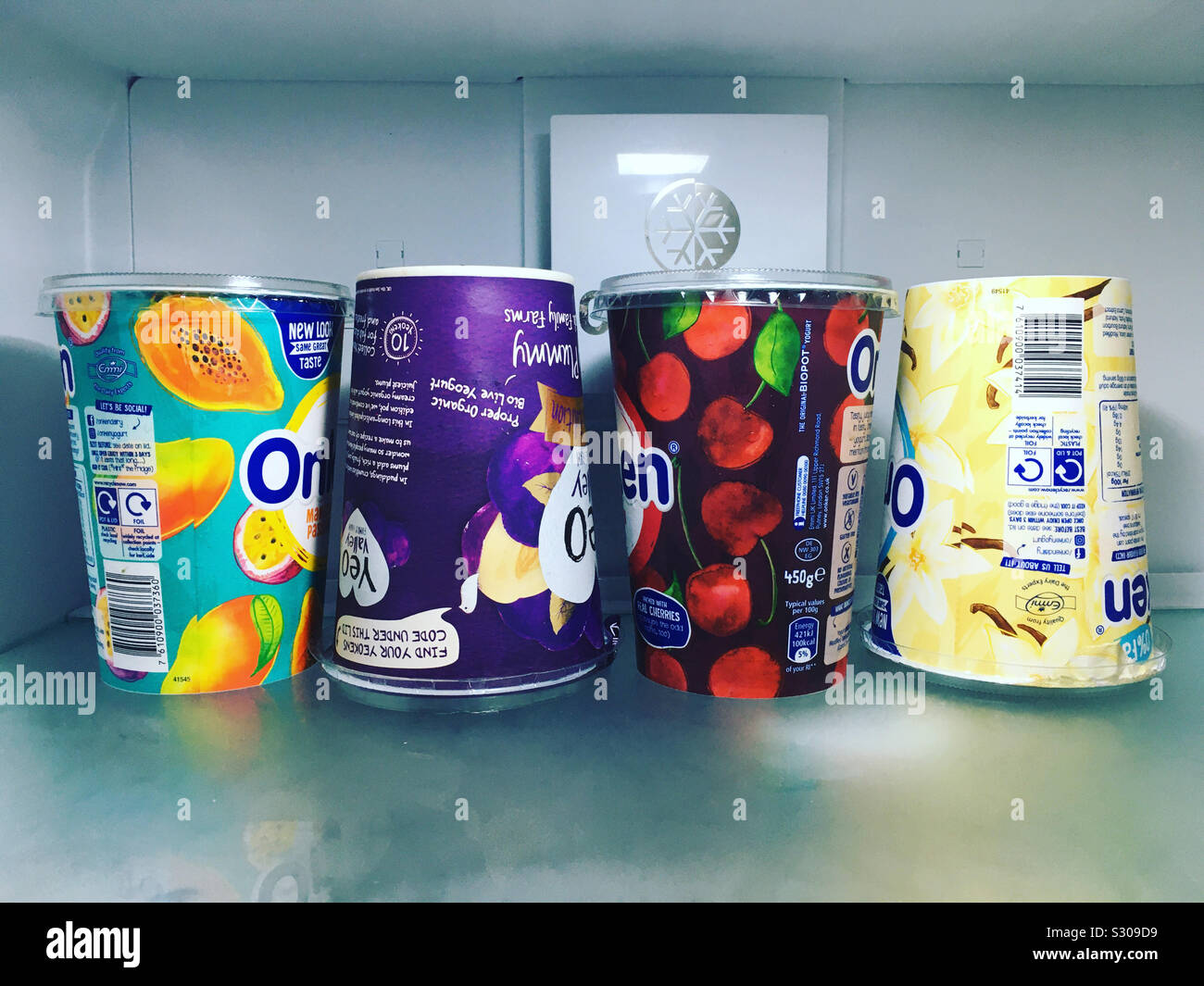 Packing the fridge efficiently so that cartons tessellate together. Some yoghurt pots are upside down so that all can be stored close together saving space and maximising capacity. Uk Stock Photo