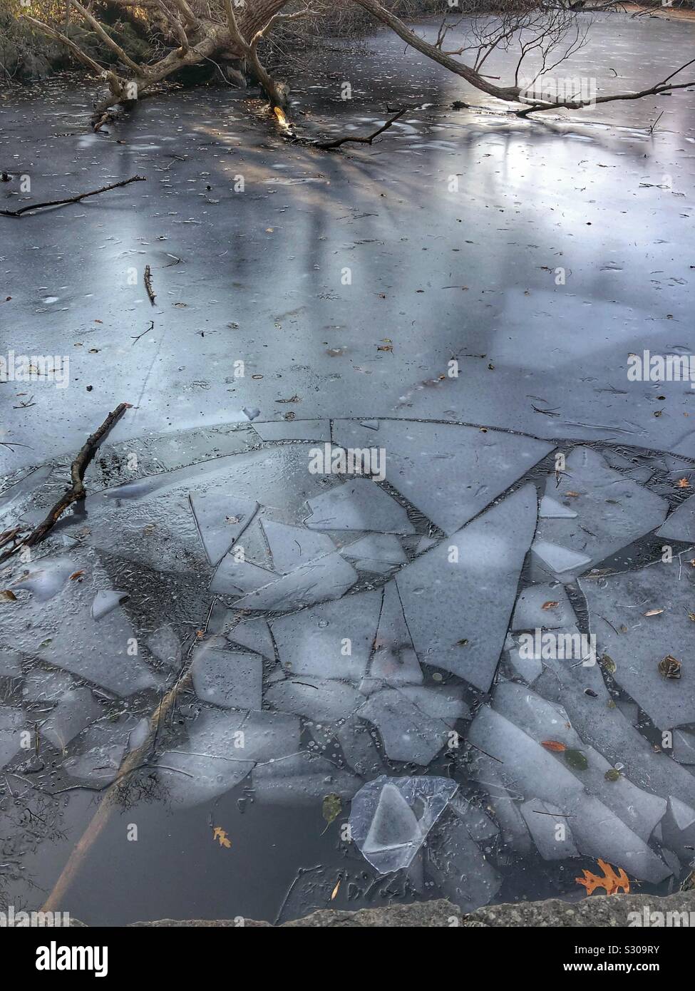 Broken ice on a pond Stock Photo 311638319 - Alamy