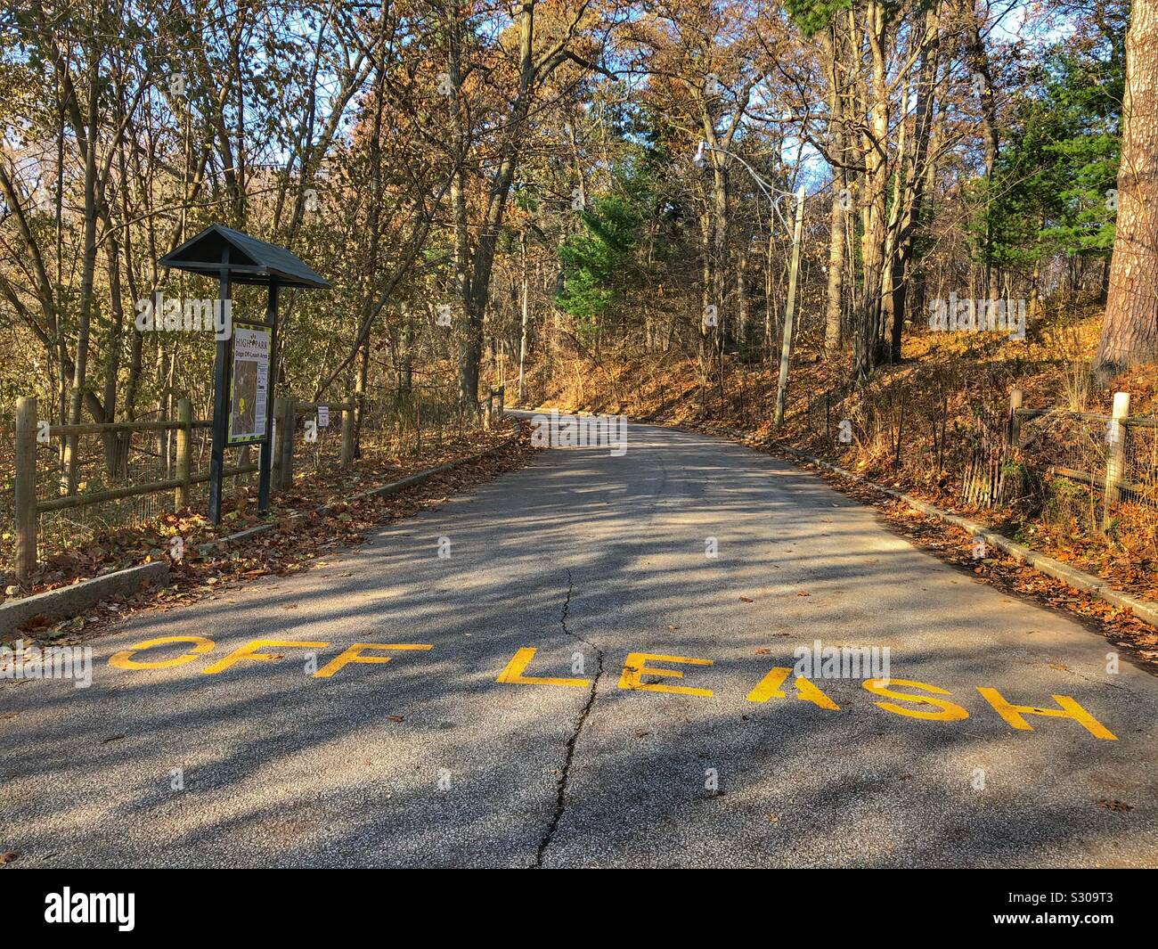 The designated off leash dog area in High Park, Toronto, Canada. - Smartphone Captured Stock Image