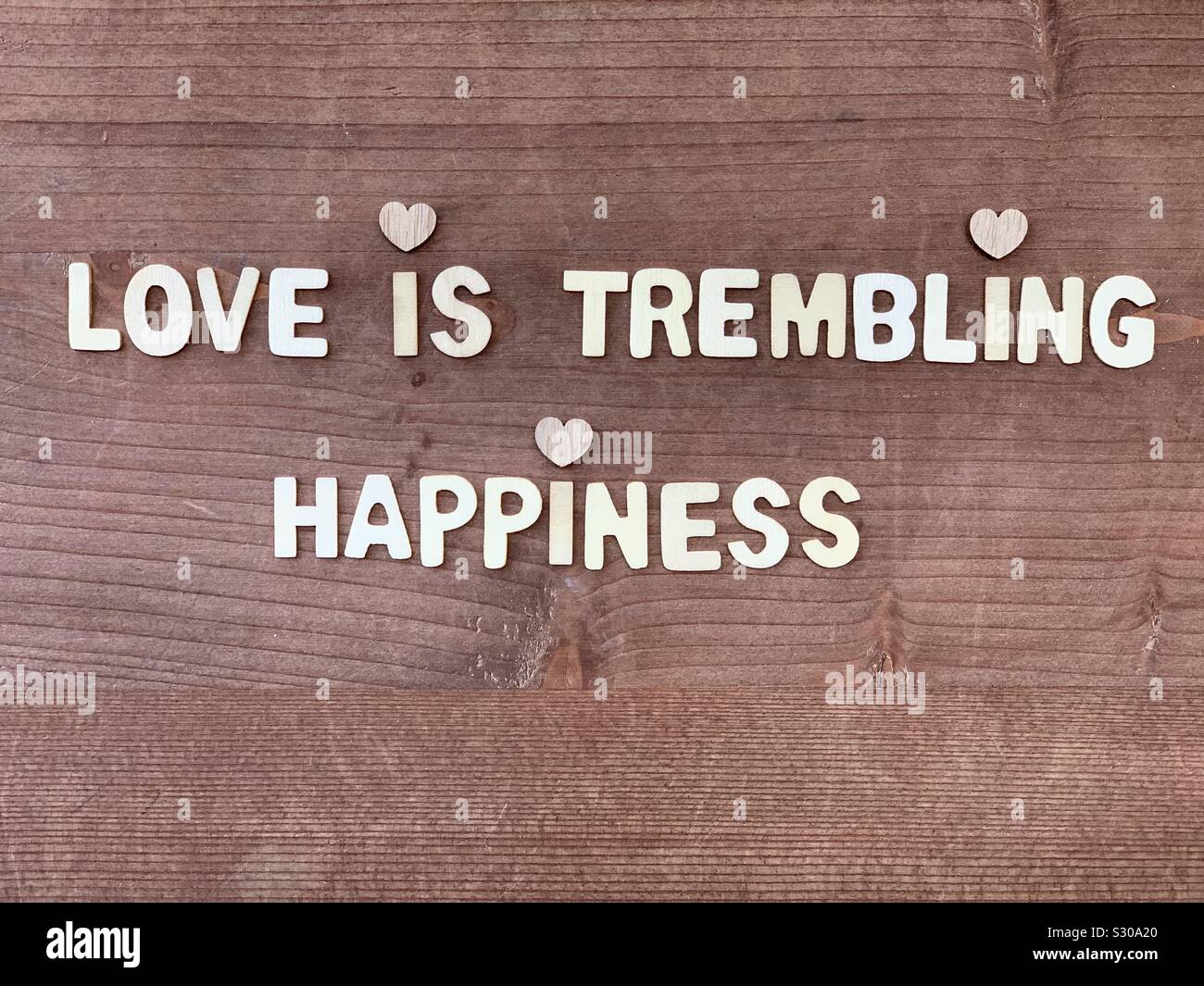 Love is trembling happiness Stock Photo