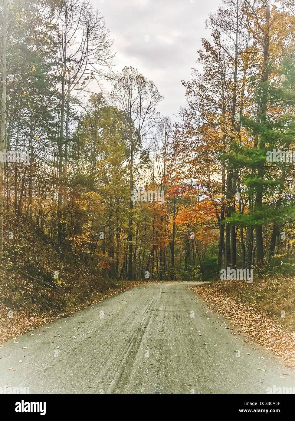 Coming down the mountain road in November, North Carolina - Smartphone Captured Stock Image