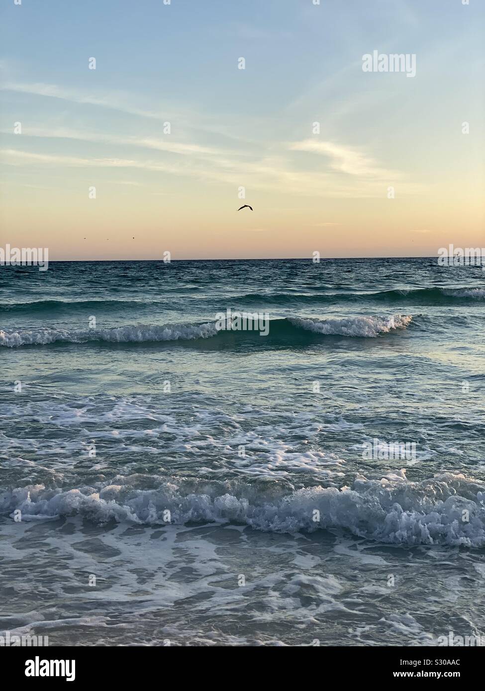Ocean water view at sunset with waves and a pelican flying over the water - Smartphone Captured Stock Image