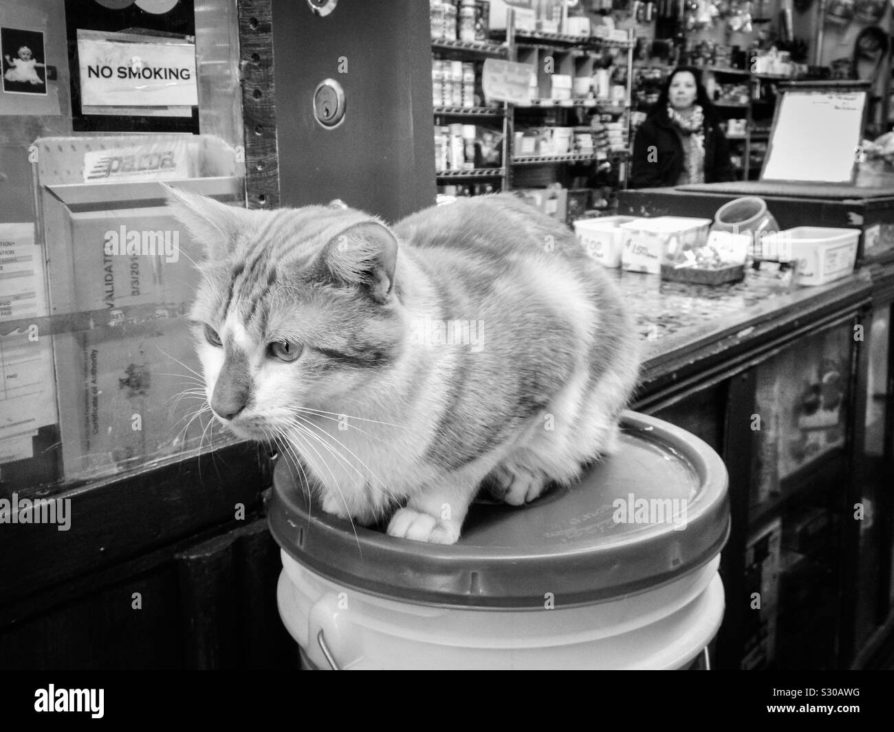 Bodega new york hires stock photography and images Alamy