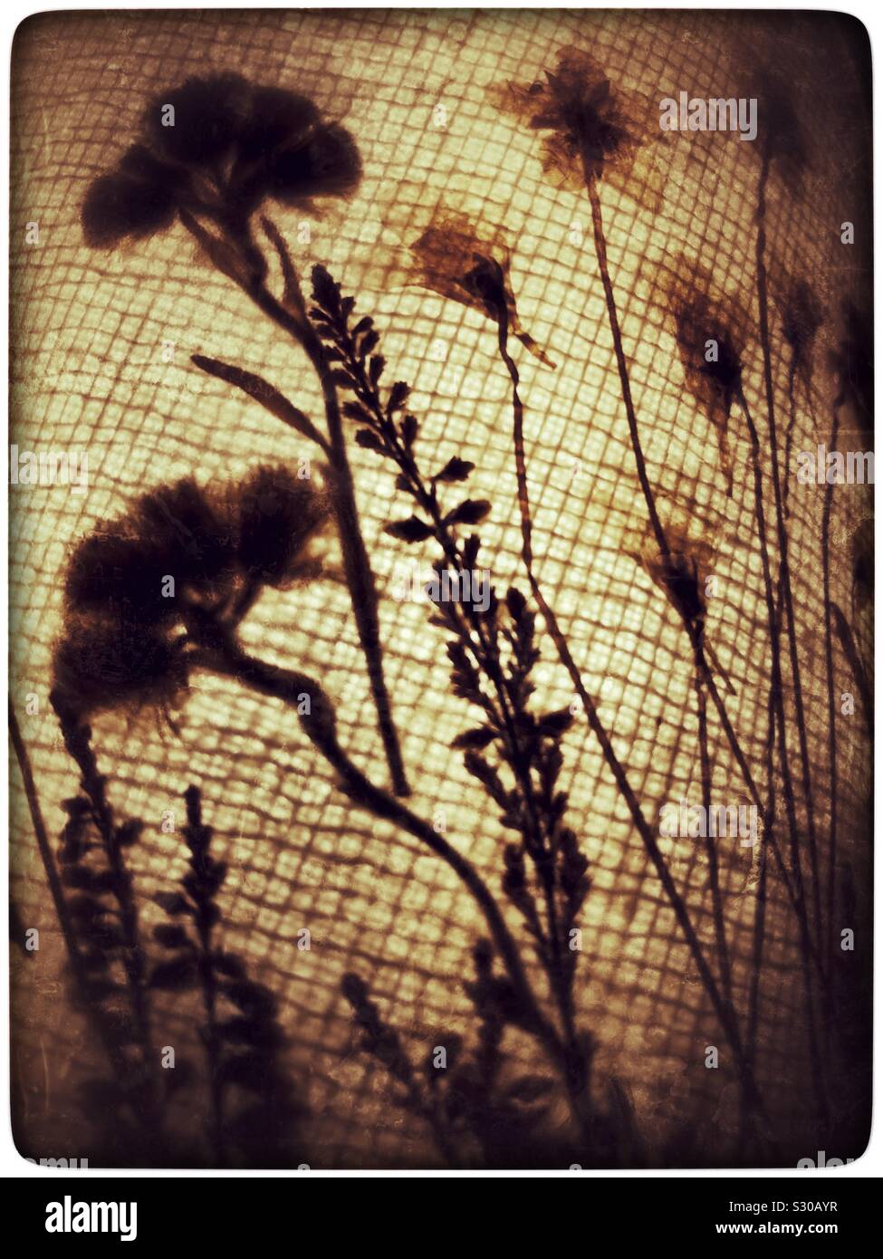 Closeup of an old fashioned lamp shade with embroidered flowers on a fabric mesh pattern on a warm, glowing light. - Smartphone Captured Stock Image