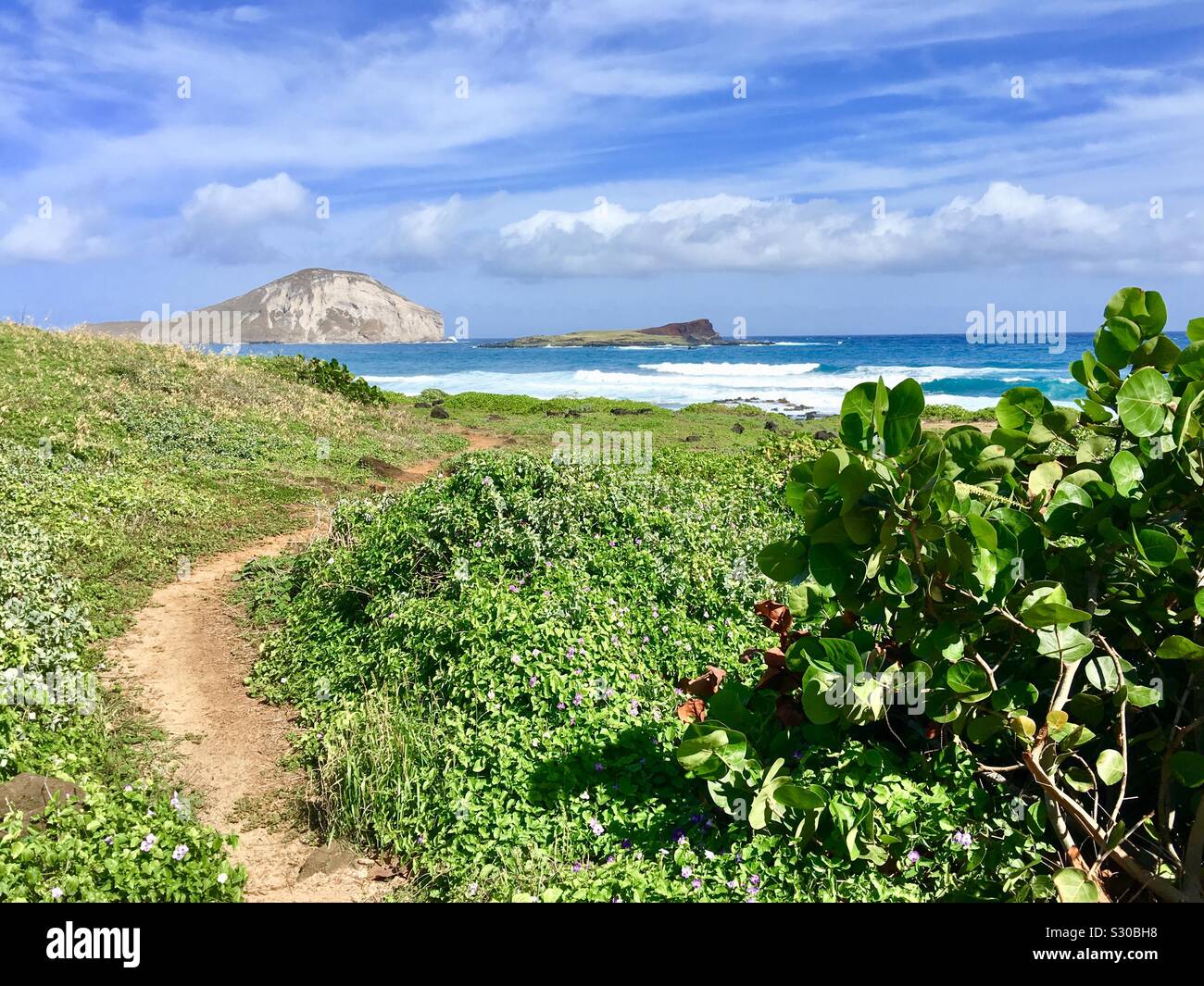 Makapuu Beach, Waimanalo, Oahu, Hawaii - Smartphone Captured Stock Image