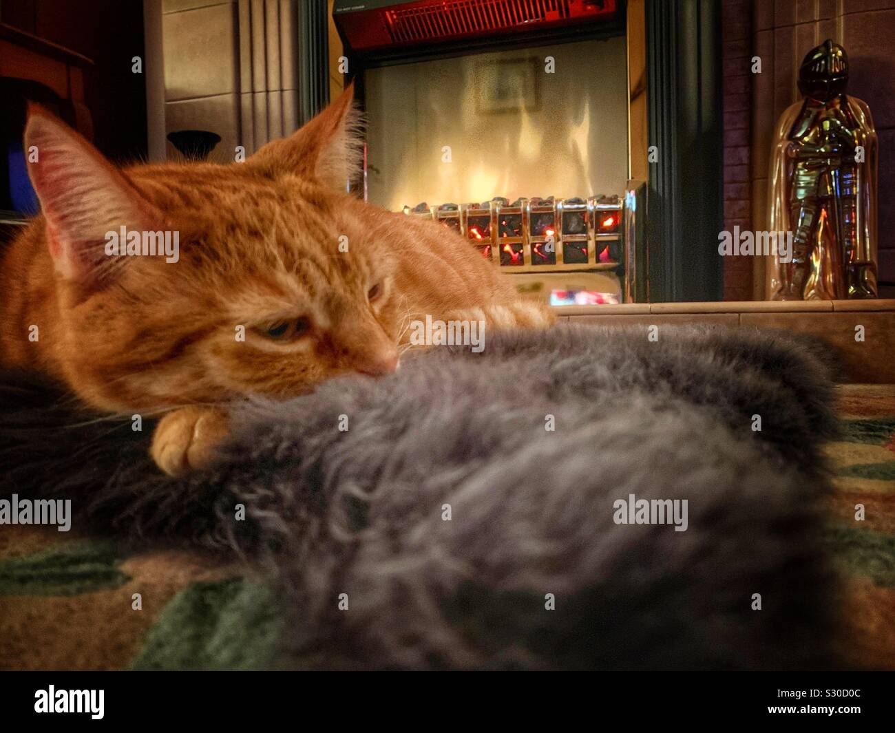 Male ginger cat laying in sheep skin fur rug in front of artificial flame effect electric fire Stock Photo