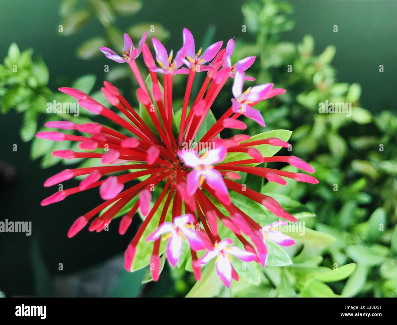 Malayalam Stock Photos Malayalam Stock Images Alamy