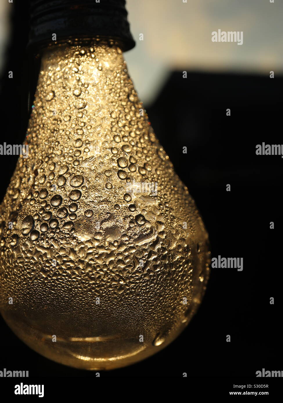 Garden Solar Bulb - Smartphone Captured Stock Image