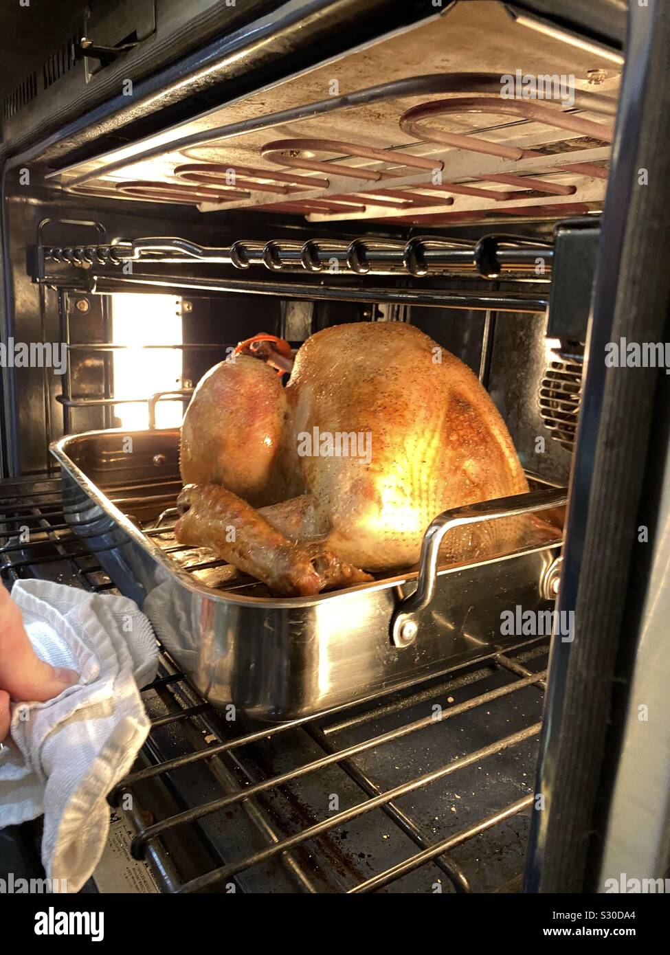 Large turkey cooking in the oven - Smartphone Captured Stock Image