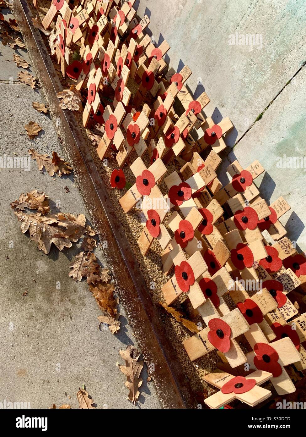 Ipswich, Suffolk, UK - 30 November 2019: Poppies and crosses dedicated to those who died in two world wars. Christchurch Park war memorial. - Smartphone Captured Stock Image