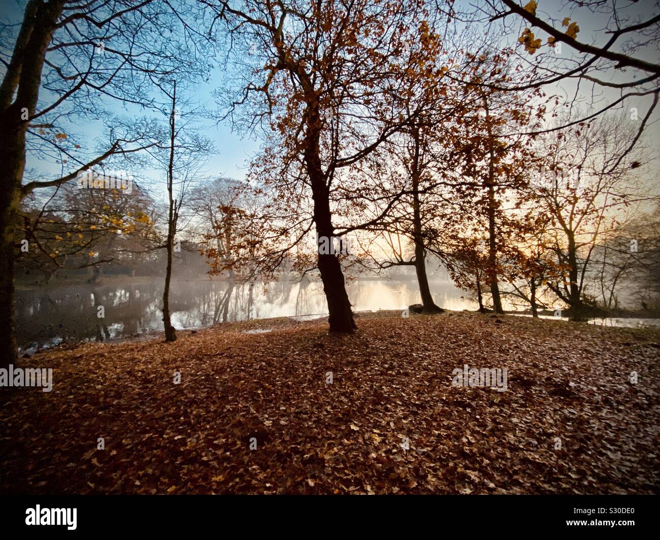 Sunset Boultham Park Lake Stock Photo