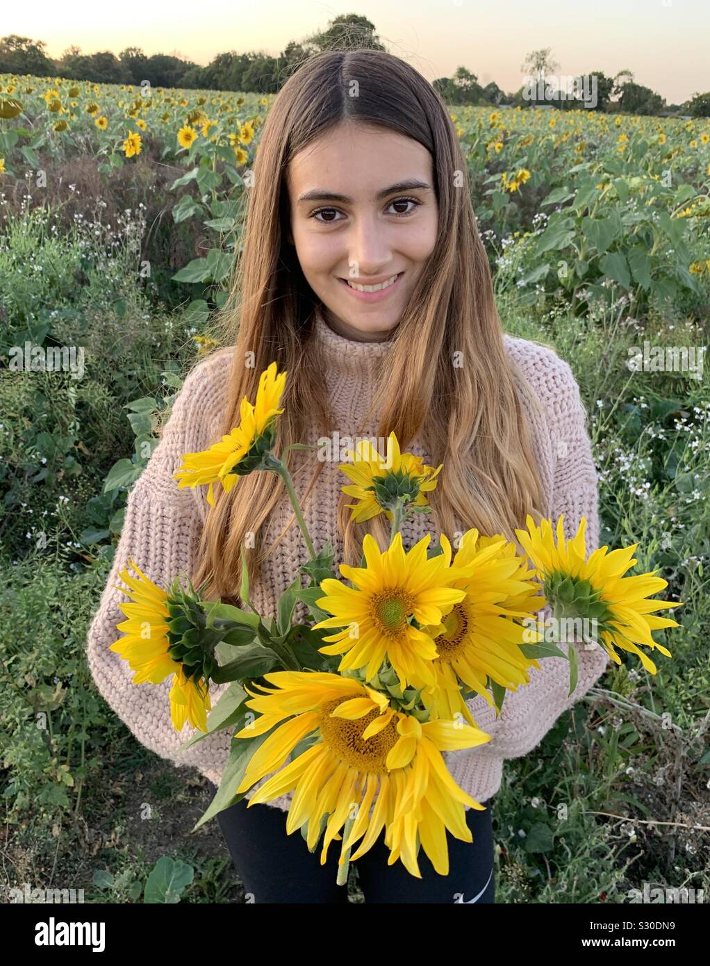 Girl In Sunflower Field High Resolution Stock Photography and Images ...