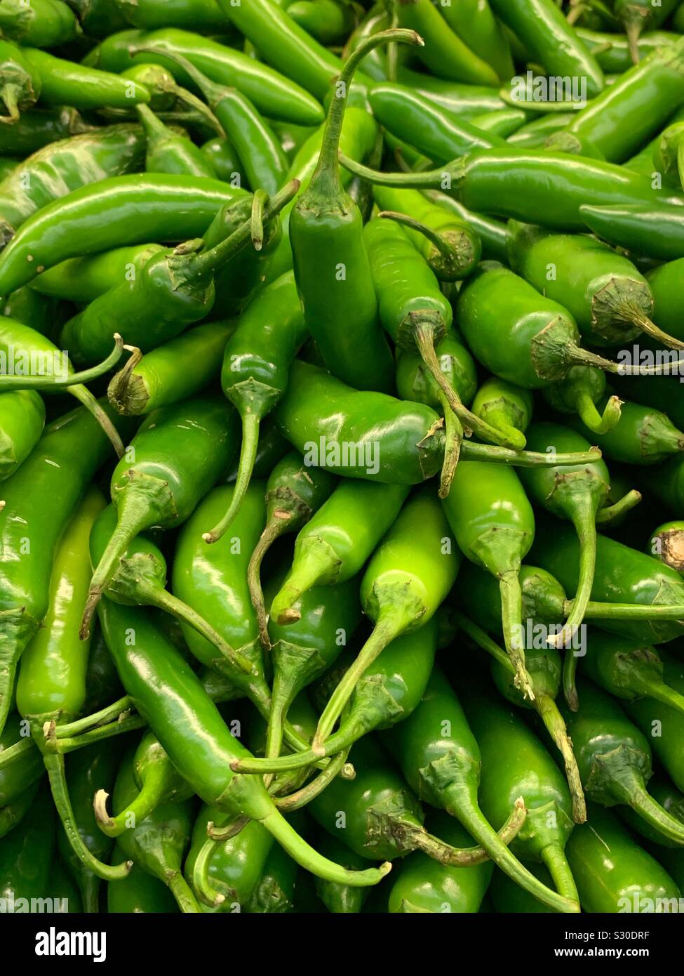 Fresh green Serrano chili peppers, capsicum annuum - Smartphone Captured Stock Image