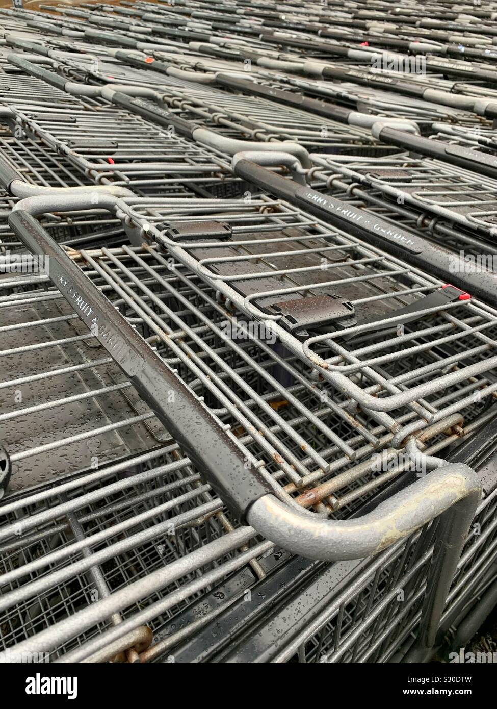 Many shopping carts parked in their staging area - Smartphone Captured Stock Image
