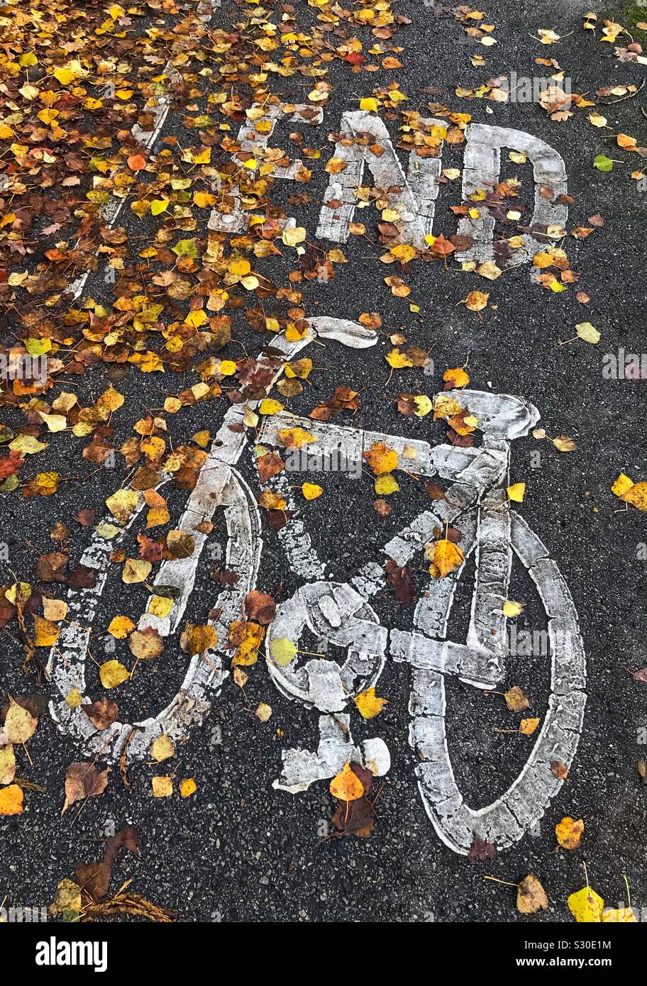 End Of Cycle Path Sign On Footpath With Leaves Partially Covering It - Smartphone Captured Stock Image