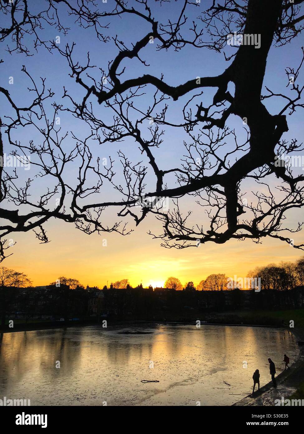 Frozen pond in the park at sunset - Smartphone Captured Stock Image