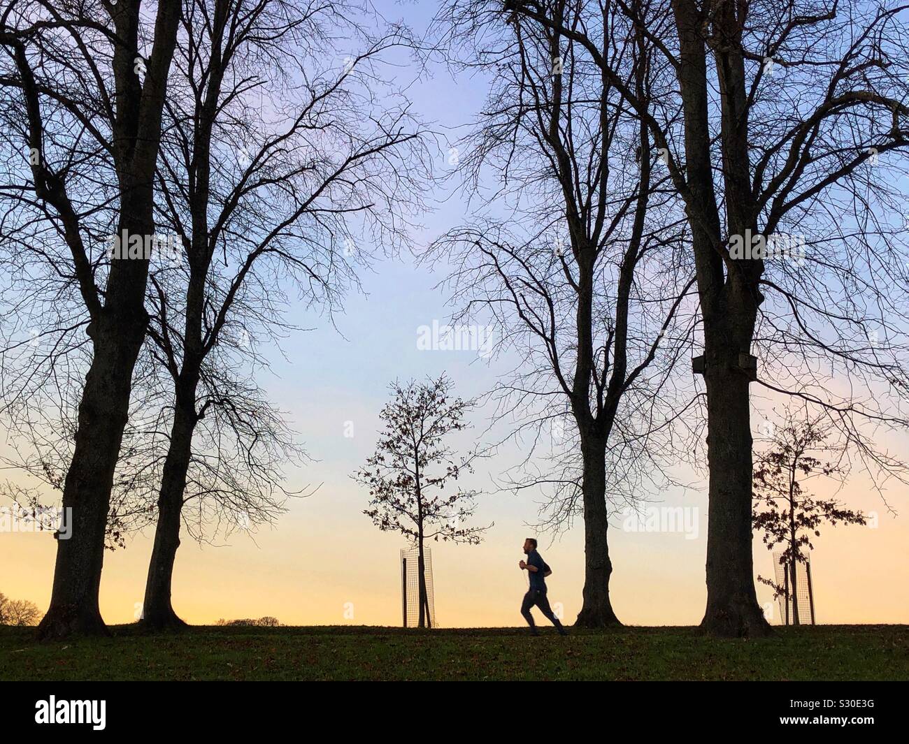 Jogging in the park at sunset Stock Photo