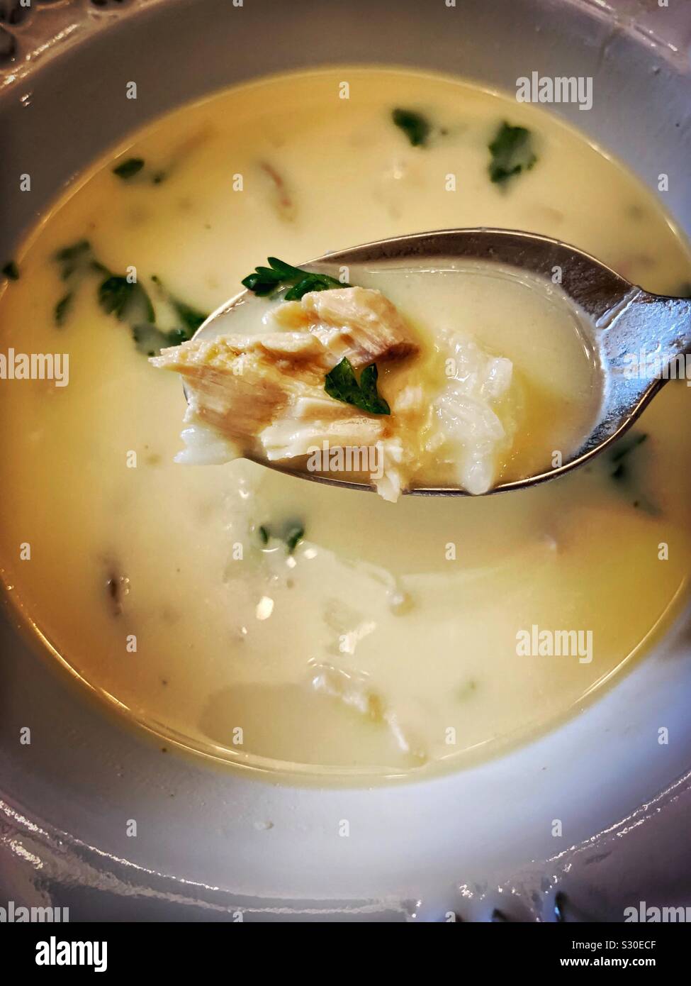 A spoon filled with creamy Greek-style Avgolemono is pictured over the bowl of this delicious soup made from leftover turkey after Thanksgiving. Stock Photo