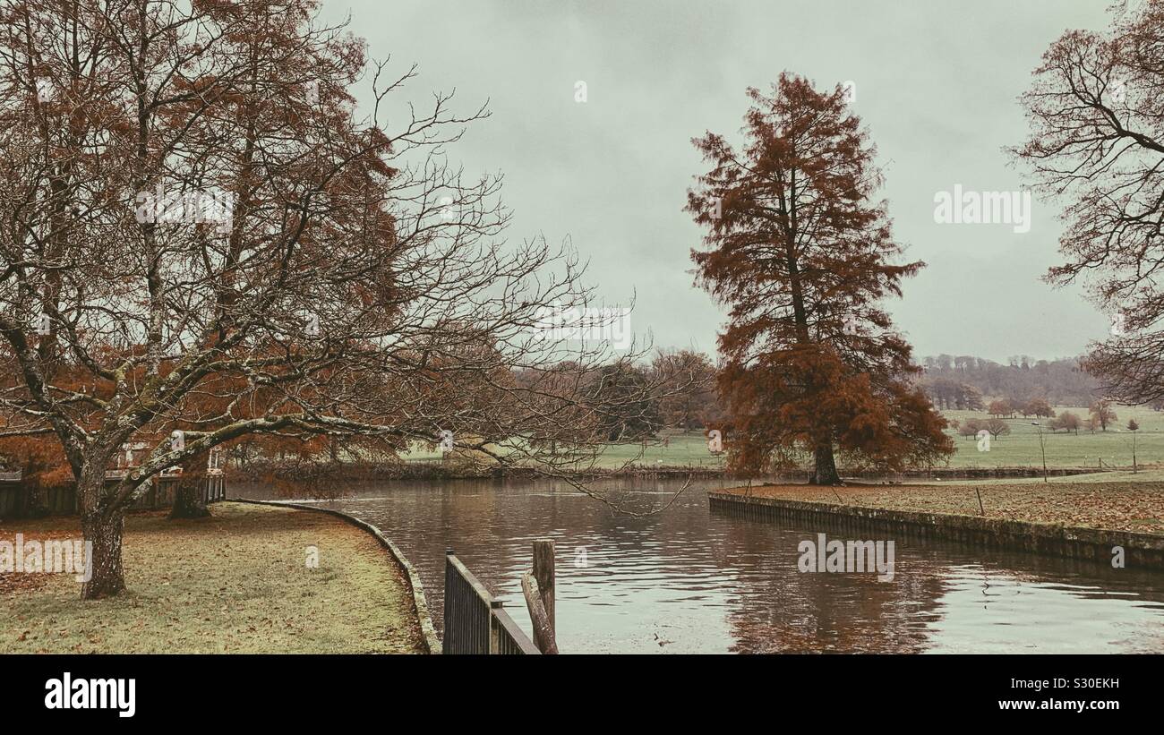 Autumn colours nature hi-res stock photography and images - Alamy