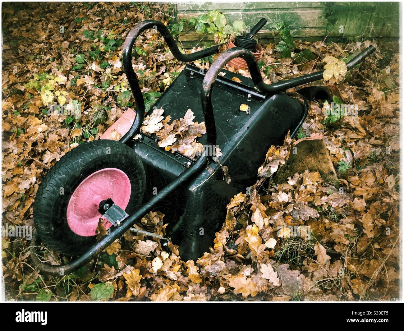 Overturned wheelbarrow in garden with the ground covered in dead autumn leaves. - Smartphone Captured Stock Image