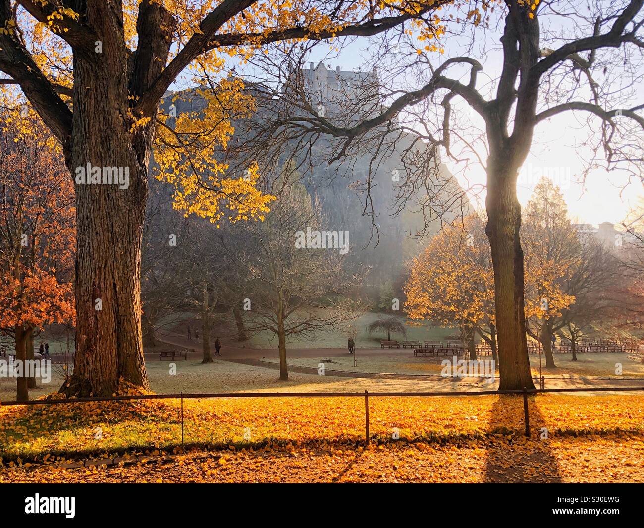 Edinburgh Castle In Late Autumn Stock Photo 311642284 Alamy